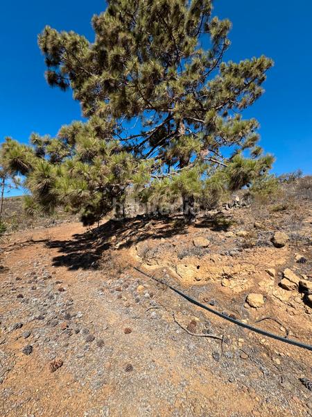 Foto 9b3e1ba0-e5a9-46d0-bb6a-321c96630708. Fondo rustico in n/a in Arico