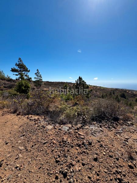 Foto 9bad164f-edd3-444c-b2c9-a529c2dfb23a. Fondo rustico in n/a in Arico