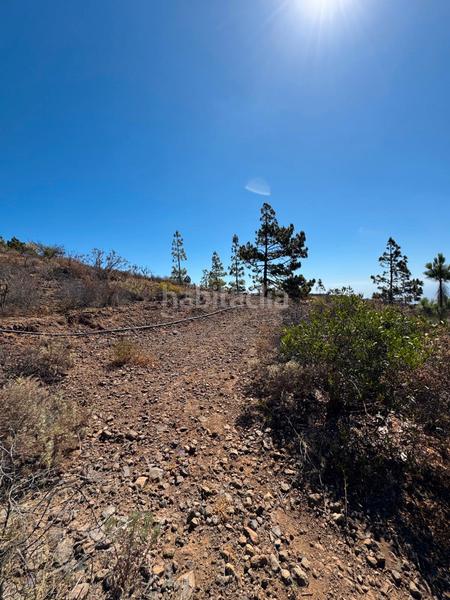 Foto aa427ff8-53c1-4393-b8a9-ec85caafe771. Fondo rustico in n/a in Arico