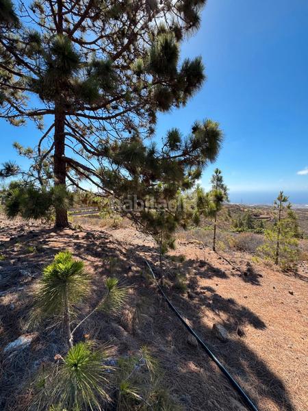 Foto aa930a22-8068-4df3-893d-e3fff694e6ee. Fondo rustico in n/a in Arico