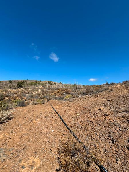 Foto c6209a0f-1537-4350-a6cd-89ff0f742db7. Fondo rustico in n/a in Arico