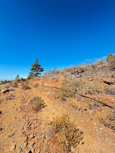 Foto c7704633-1f70-456e-a113-89e12e79e648. Fondo rustico in n/a in Arico