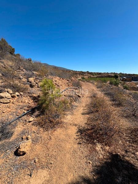 Foto db30fd86-cdd0-4e98-b282-f64e0b49f20e. Fondo rustico in n/a in Arico