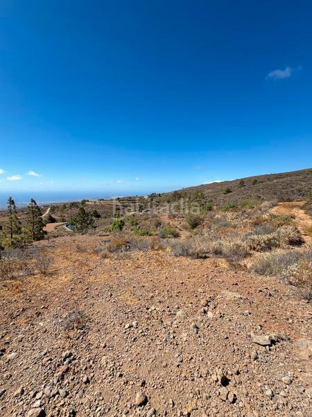 Foto e1dc4f83-8d7b-494c-b405-142c65219b0c. Fondo rustico in n/a in Arico