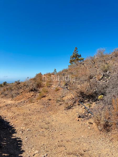 Foto ec399160-2755-42e1-86f4-88f6ff75905e. Fondo rustico in n/a in Arico