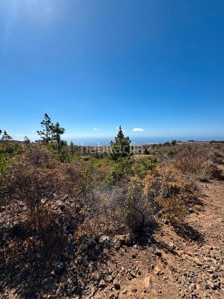 Foto fe2d8c37-5684-4d14-bd94-1ecc0a63813a. Fondo rustico in n/a in Arico