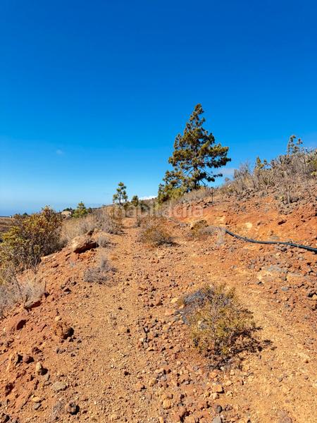 Foto fe48c5aa-caec-4760-ac1c-6796c73e5dde. Fondo rustico in n/a in Arico