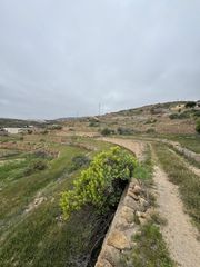 Rural plot in Diseminado diseminados 637d. Se vende terreno rústico en fasnia con acceso directo y vistas a