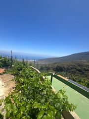 Mas  N/a. Finca rústica con casa cueva, 3 cuevas, placas solares y especta