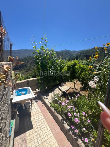 Foto 72820330-9243-4414-b7e6-ac002e1fa05c. Masia a n/a a Centro Güímar