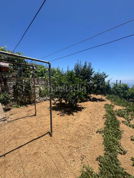 Foto b80c7f47-e73b-469c-9ac7-2089e25501eb. Masia a n/a a Centro Güímar