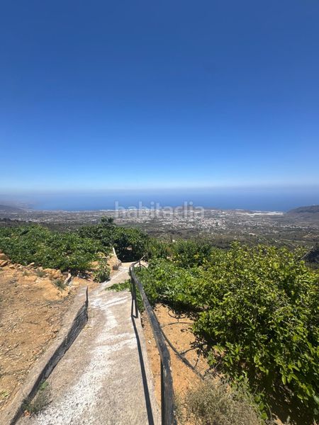Foto c30651f3-10a5-4360-93f6-520c0fce65d3. Masia a n/a a Centro Güímar