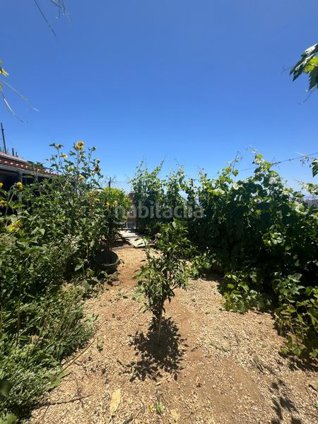 Foto d087c587-6bfe-4808-b3e7-e007c40683da. Masia a n/a a Centro Güímar