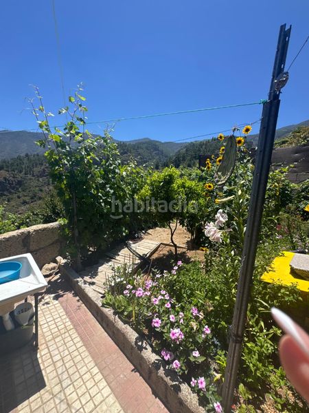 Foto dd794421-2fe6-4137-8252-0fa669a64269. Masia a n/a a Centro Güímar