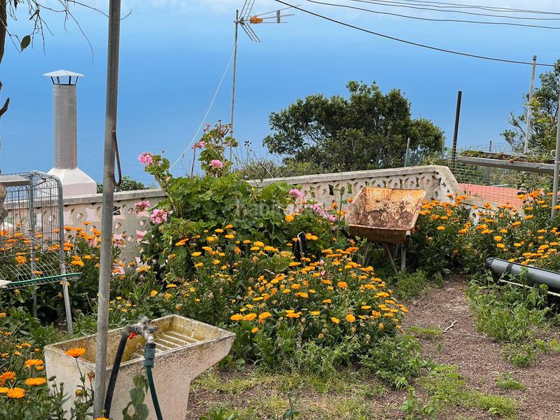 Foto fe2693a7-fc5b-4379-bff5-bbbb88a0be55. Masia amb aparcament piscina a Icod de los Vinos pueblo Icod de los Vinos