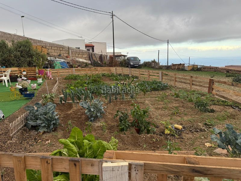 Foto 1bed3a17-2431-4efb-8434-ce2a7dd954e4. Terreno residencial ?? finca urbana con cuevas habitables, vistas al mar y tranquilidad única – 1.057 m² en Fasnia