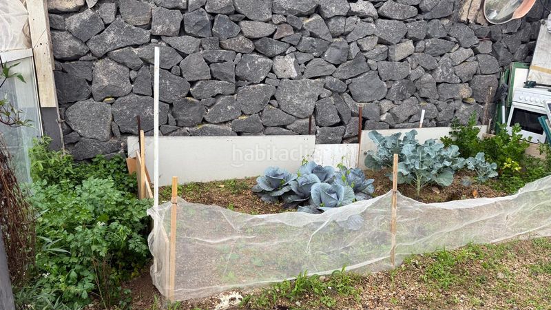 Foto d3f5844a-f480-40c5-bc86-489640ca8fd7. Terreno residencial ?? finca urbana con cuevas habitables, vistas al mar y tranquilidad única – 1.057 m² en Fasnia
