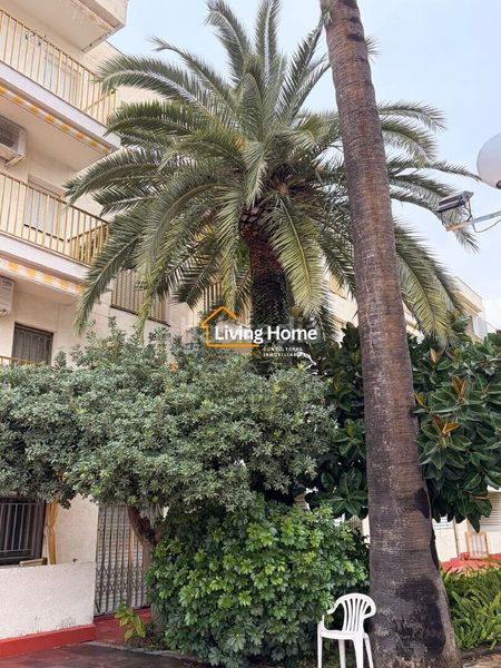 Foto b0cf1879-8ebc-4cfe-bfb7-08185cc313a9. Pis a Vilafortuny Platja Cambrils