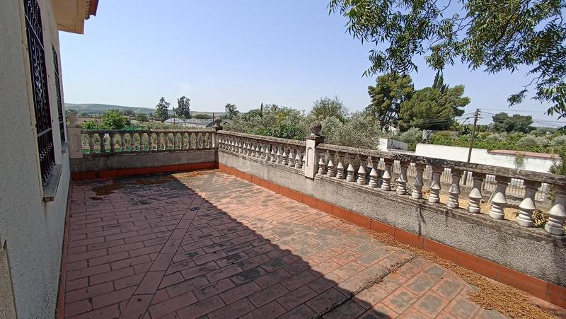 Foto a172fd66-30c7-4257-b03e-0caf2eaacb8d. Mas dans Alcolea Córdoba