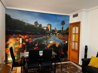Planta baja en Calle de Alfaros