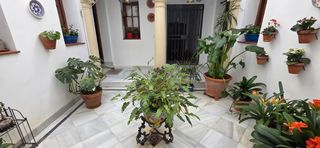 Casa a Calle de Santa Inés