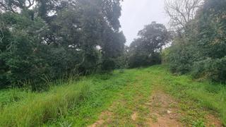 Terreno residencial en San Jos-San Bernardo. En sotogrande, excelente parcela unifamiliar