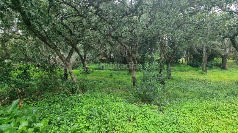 Foto 205c14e0-bfbb-4a87-8cef-fe16336b292a. Residential plot in San José-San Bernardo Línea de la Concepción (La)