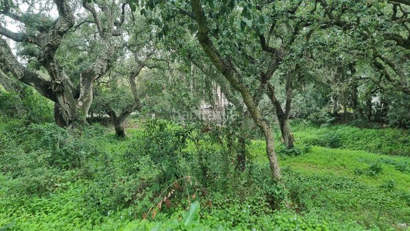 Foto 3b586f46-2c33-49c3-9787-785bf978899c. Residential plot in San José-San Bernardo Línea de la Concepción (La)