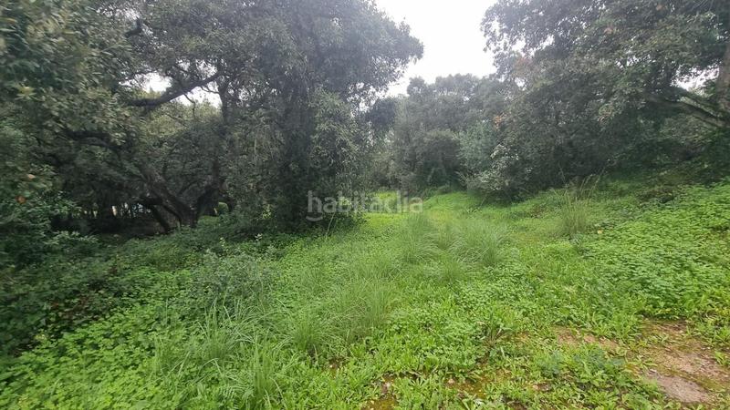 Foto 527ad739-5303-41ef-8d0b-5a63adaf2ec0. Residential plot in San José-San Bernardo Línea de la Concepción (La)