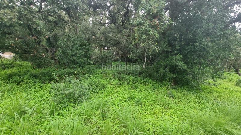 Foto ac383433-96b3-407a-8772-2a016ba0ba18. Residential plot in San José-San Bernardo Línea de la Concepción (La)