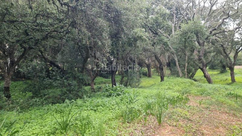 Foto dfe69aed-6bb9-4b26-ae6d-2355d083506d. Residential plot in San José-San Bernardo Línea de la Concepción (La)