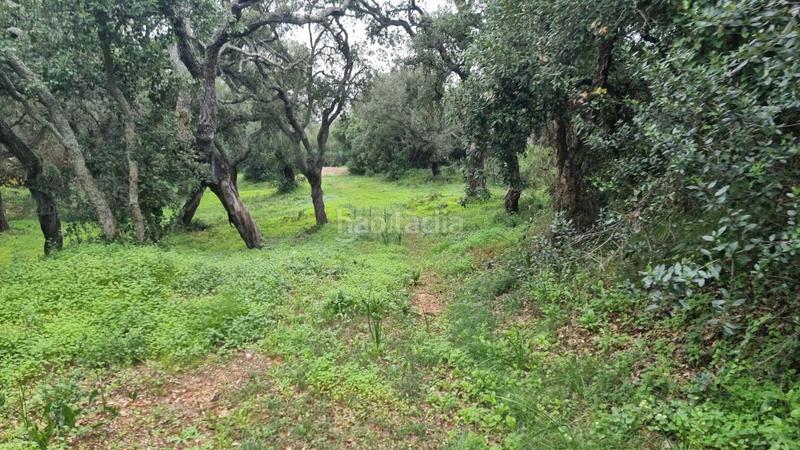 Foto e3116e4d-2ffa-40f7-b6c5-2024a1075b60. Residential plot in San José-San Bernardo Línea de la Concepción (La)