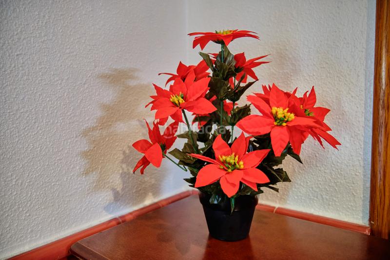 Foto eca92202-56b7-4b31-80be-c2a92f65b85f. Piso en calle ceuta 36 chalet adosado en venta en calle ceuta en Alicante