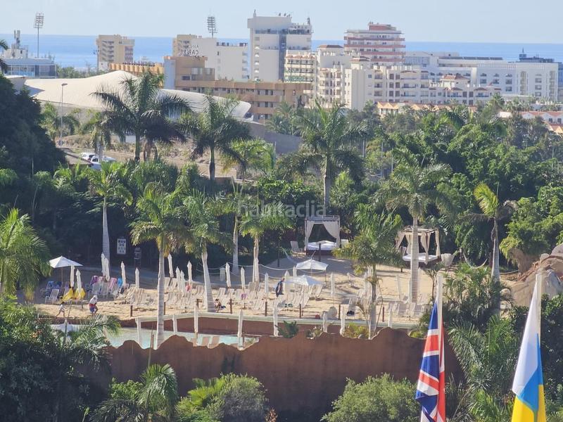 Foto af82f5df-2056-4619-9e6c-2953677d66cc. Studio avec piscine dans San Eugenio Alto Adeje