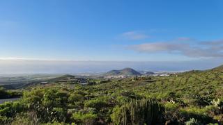 Landgut  Viña vieja. Oportunidad única finca en san miguel de abona, tenerife!