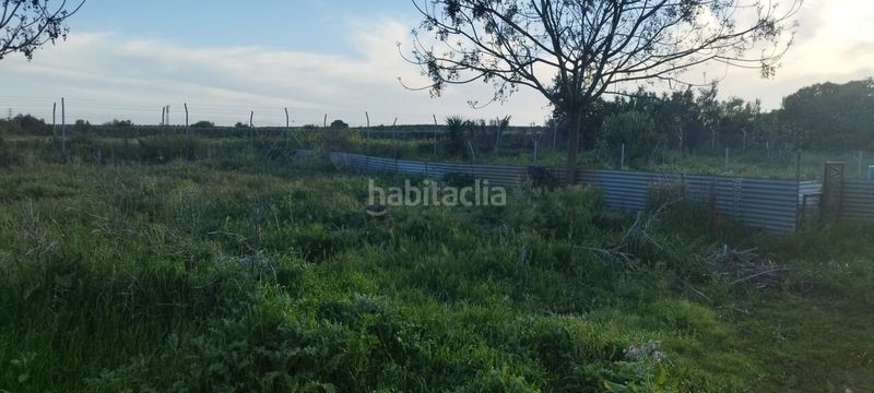 Foto 2a71d1d6-2407-4dca-b307-fe1e078d0fec. Masia a Aznalcázar