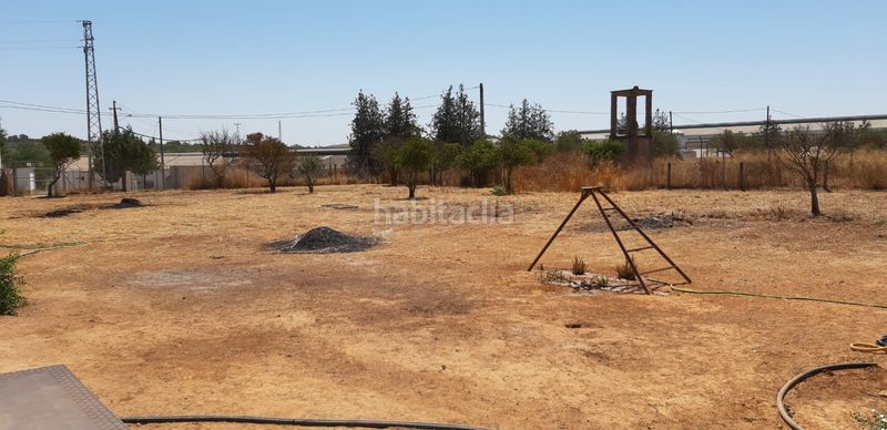 Foto 4fe976a1-494a-4658-974e-987ee0e6ab19. Masia a Aznalcázar