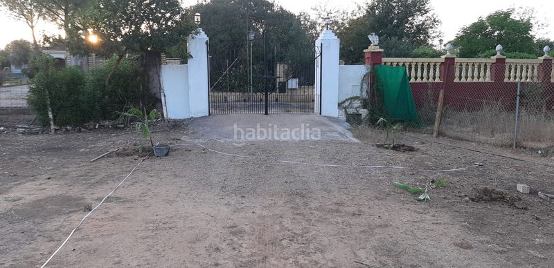 Foto a1429180-835a-4aa6-b212-c518d37a370b. Masia a Aznalcázar