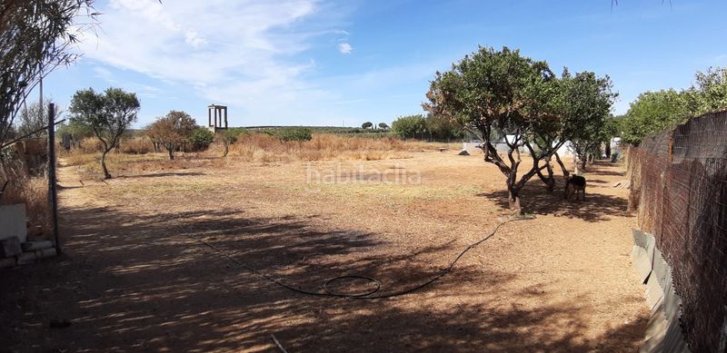 Foto afe2f4e2-4896-4da5-9215-d0befee04138. Masia a Aznalcázar