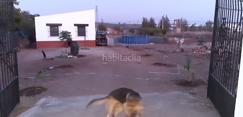 Foto c9859da0-3d13-476c-ba53-82546366d3b3. Masia a Aznalcázar