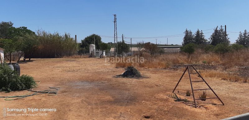 Foto e960140d-8a1d-4fb5-917e-cdf9cfa9c5ab. Masia a Aznalcázar