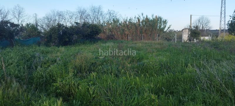 Foto f467c0a4-92b7-41ed-b664-0dc987819c2f. Masia a Aznalcázar