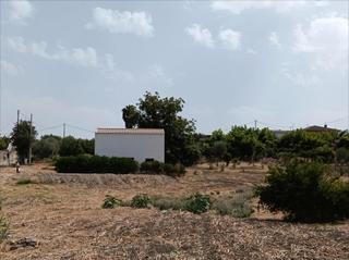 Masia  Lugar partido cortijo benitez. Finca de 5000 m2, con casa de apero legalizada!! amplias posibil