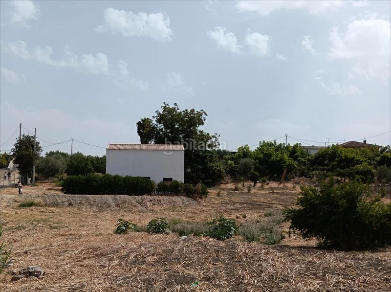 Foto 75936eef-7445-4769-9fa9-6065b9390949. Casa en lugar partido cortijo benitez 116 finca de 5000 m2, con casa de apero legalizada!! amplias posibilidades en Coín