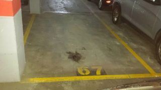 Miete Autoparkplatz in Calle de juan de la hoz 6. Se alquila plaza de garaje