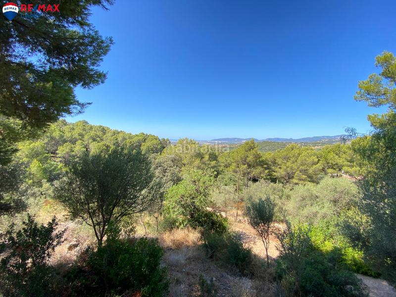 Foto 1254f24f-9c81-4ffd-b167-6058235c5d0b. Alquiler chalet alquiler con opción a compra de este fabuloso chalet en es cocons, oportunidad exclusiva en zona muy valorada en Bunyola