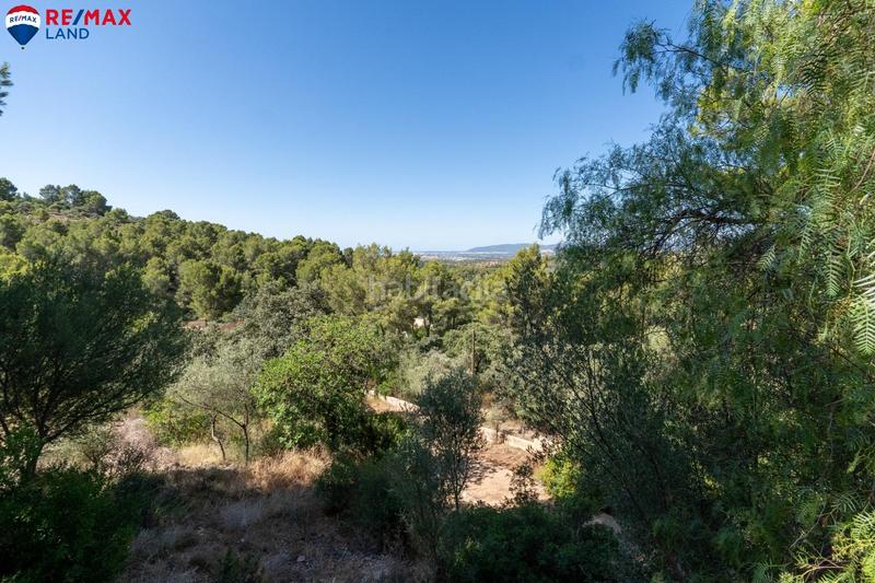 Foto f2095a92-65b0-410d-852f-0ef2af8e2bab. Alquiler chalet alquiler con opción a compra de este fabuloso chalet en es cocons, oportunidad exclusiva en zona muy valorada en Bunyola