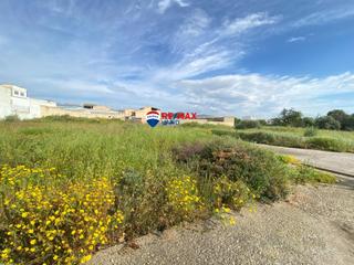 Terreny residencial a Sa Pobla. Gran oportunidad para promotores en sa pobla