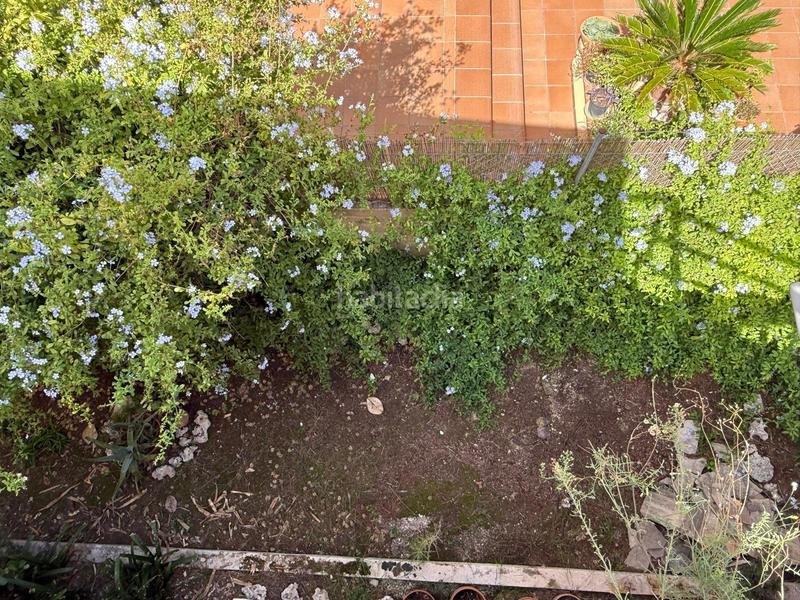 Foto 0e979952-acf2-465f-9bf9-e2673ebe7f71. Mas dans Porto Cristo Manacor