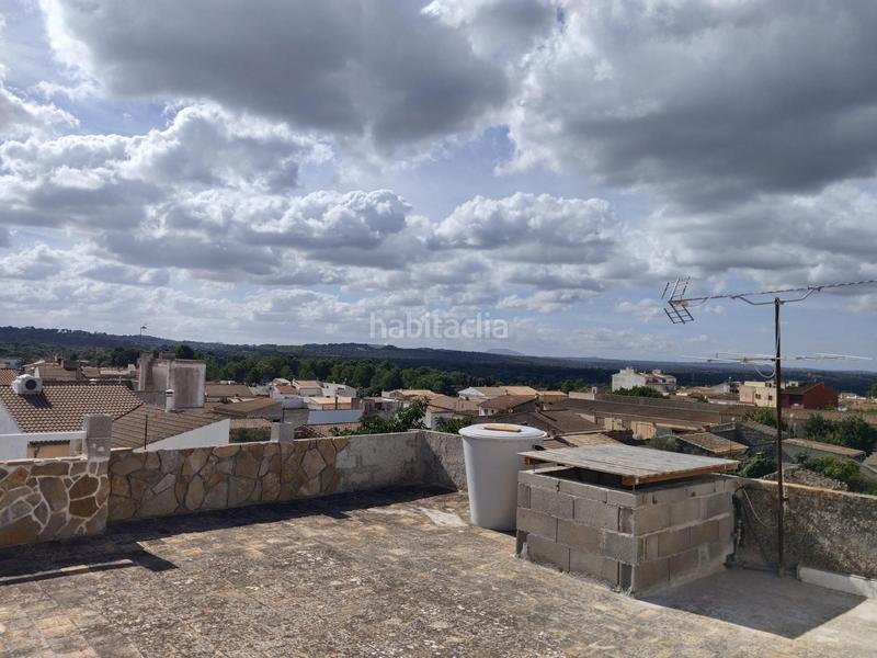 Foto bbfdca7e-81f8-4e47-95e5-f1efe4809859. Pis a Muro